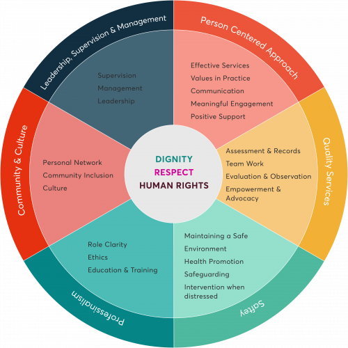 Competency Framework Workforce Development Tool for Continous Professional Tool by National Institute of Intellectual Disability Studies NIIDS eLearning Online Courses Classes Study for Evening and Night Certificates for CPD