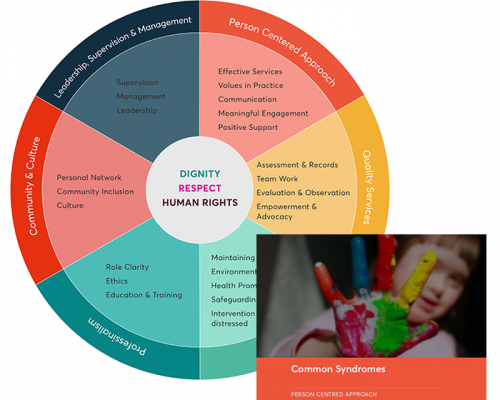 NIIDS Workforce Development Tools - Intellectual Disabilities, Schools.. HIQA Audit Compliance, Continuous Improvement Development Training, QQI, PETMA, SAM, GAP Tool, HIQA, Audits, reports, compliant, substanially compliant, tusla, healthcare, ireland, hse, standards