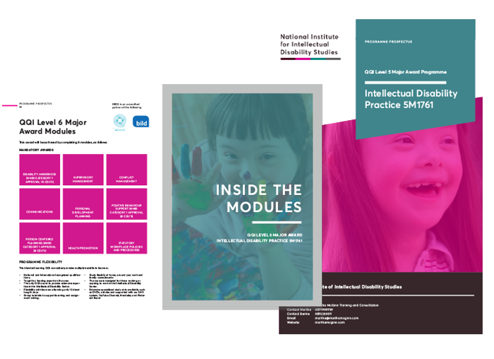 NIIDS Workforce Development Tools - Intellectual Disabilities, Schools.. HIQA Audit Compliance, Continuous Improvement Development Training, QQI, PETMA, SAM, GAP Tool, HIQA, Audits, reports, compliant, substanially compliant, tusla, healthcare, ireland, hse, standards